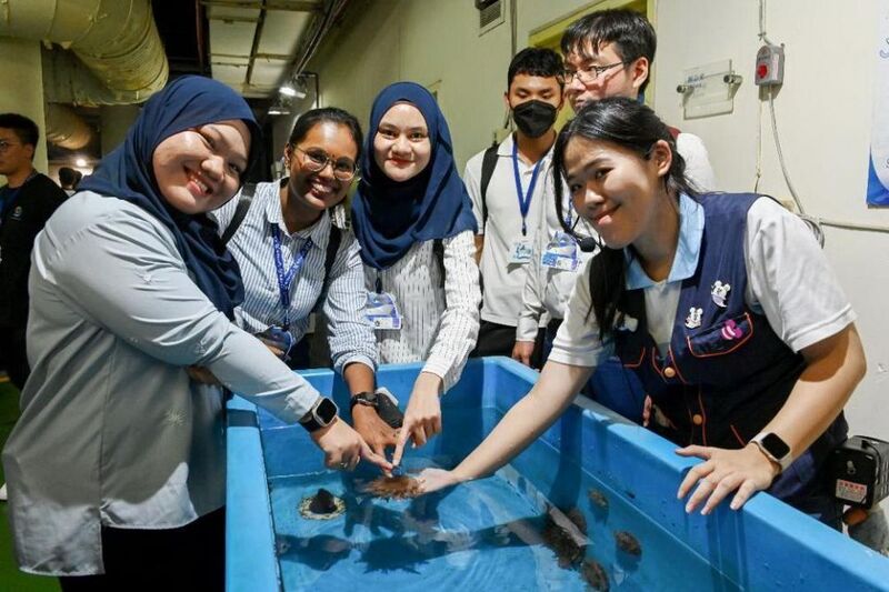 2024國際青年代表於海生館後場參觀並體驗觸摸海洋生物