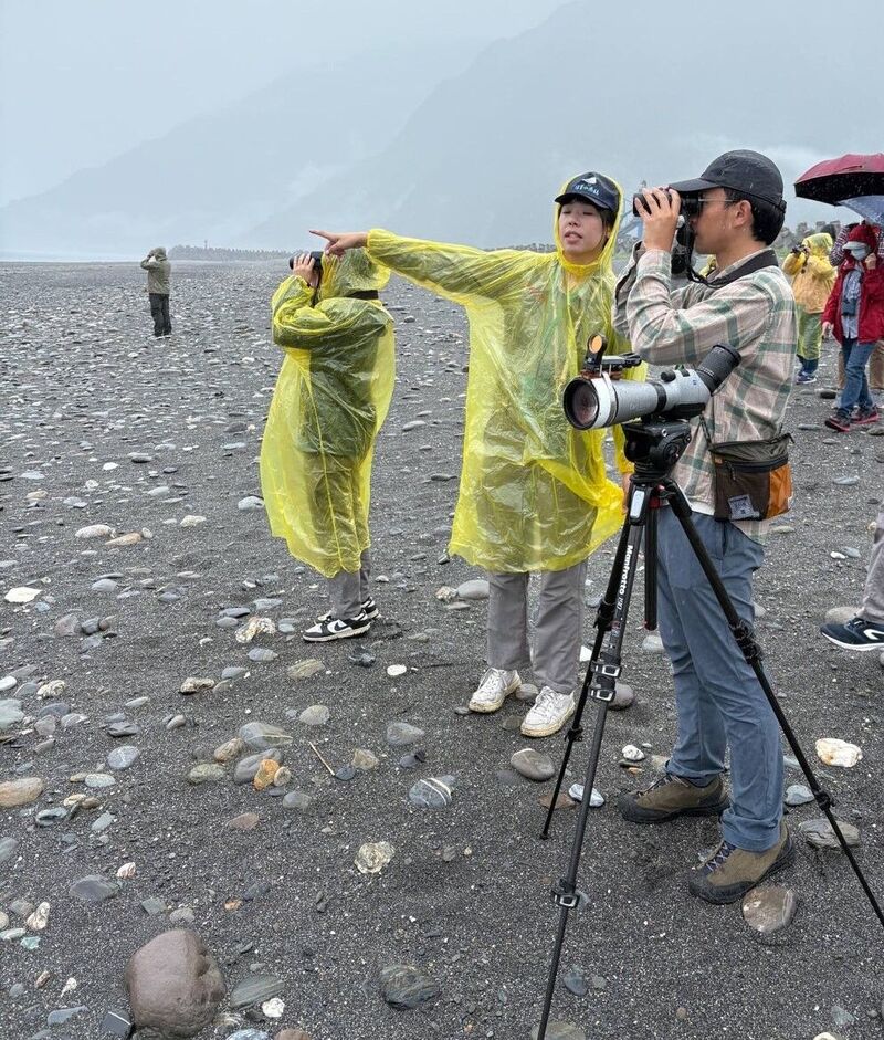 圖、花蓮縣野鳥學會執行海保署「海洋保育在地守護計畫」,帶領新任調查員觀察小燕鷗(花蓮縣野鳥學會提供)